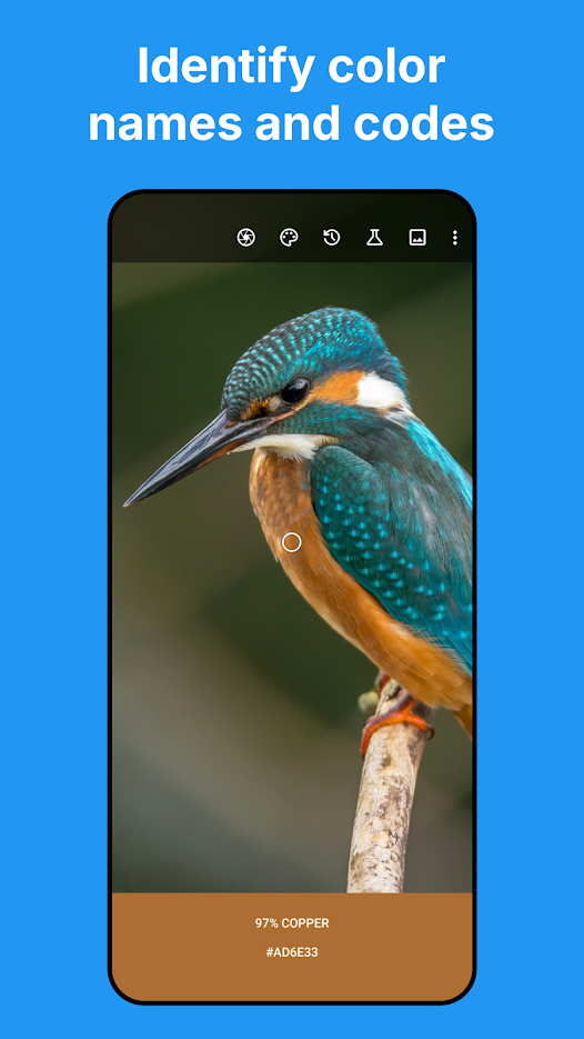 Material Design (2014) 色卡列表:Red 50 到 Red 900,每行标注 HEX 与色名